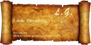 Laub Gergely névjegykártya